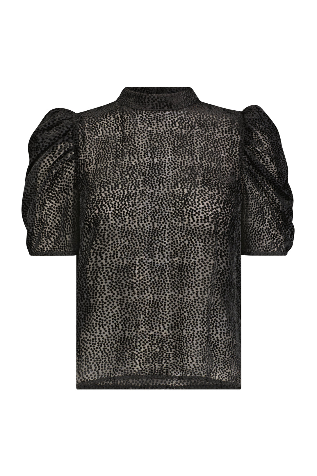 Sheer Puff Sleeve Top